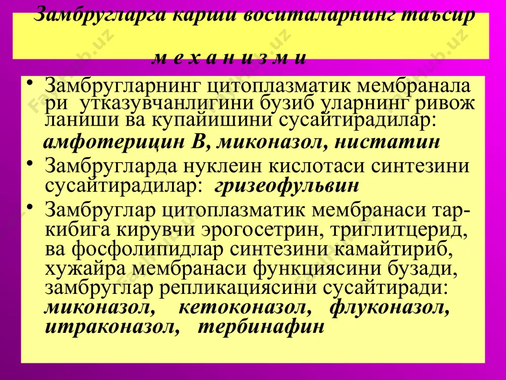 ихи, тавон эпидермофитиясида хам самарадор восита(суртилади).совунли эрит- малар таъсирида парчаланади. тербинафин(ламизил) энтерал кабул килинганда тери, тери ости ёг каватида, тирнокларда тупланиб, фунгицид та- сир курсатади.жигарда парчаланиб, метаболит -лари пешоб таркибида ажралади. асосан они- хомикоз, трихофития, микроспория, терининг кандидомикозларида энтерал ёки крем сифати- да кулланилади. нохуш таъсири: диспепсия, бош огриги, мушак ва бугинларда огрик чаки - риши мумкин.