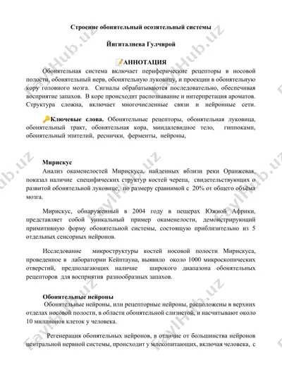 обонятельная система — DOCX