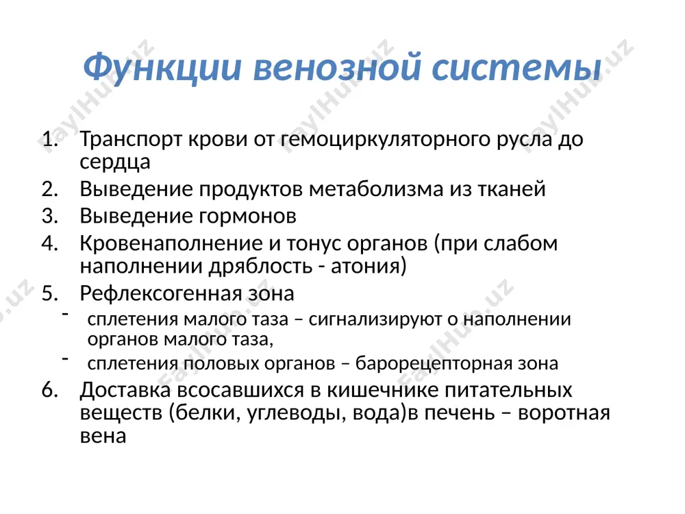 увеличиваться в 2-4 раза медиа отсутствуют наружная и внутренняя эластические мембраны (представлены отдельными волокнами) не менее 2 слоев миоцитов, но их количество меньше, чем в стенке артерии адвентиция ½ толщины сосуда стенки вен легко расширяются и спадаются классификация вен вены системные экстраорганные интраорганные магистральные по форме: магистральные вены. аркадные вены. сплетениевидные вены. спиральные вены. кавернозоподобные вены. в зависимости от положения: поверхностные вены. глубокие вены. по строению: вены (волокнистого) безмышечного типа. вены мышечного типа. классификация вен вены безмышечного типа. у них тонкие стенки, отсутствует средняя оболочка. вены мозговых оболочек. вены мозга. вены сетчатки глаза. вены костей. вены селезёнки. вены плаценты. вены мышечного типа. вены со слабым развитием мышечных слоёв (например, вены мелкого и среднего калибра верхней части туловища, шеи, лица). к венам крупного калибра относятся верхняя полая вена, плечеголовные вены. вены со средним развитием мышечных элементов, например, плечевая вена. к венам с сильным развитием мышечных элементов относятся крупные вены нижней половины …