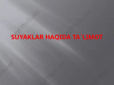 suyaklar haqida ta`limot — PPTX