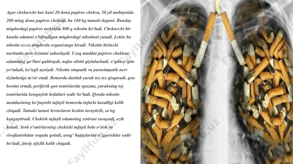 lishi esa juda ayanchli holdir.zamonaviy tibbiyot natijalariga suyangan holda shuni aniq aytishimiz mumkinki, tamaki tarkibida yigirmadan ortiq zaharli moddalar mavjud bo‘lib, ular ichida eng zaharlisi nikotindir. inson sigareta chekkanda, nikotin tutun orqali o‘pkaga, keyin esa qonga so‘rilib, yurak-qon tomir sistemasiga salbiy ta’sir etadi. qon tomirlari torayib, bosim oshadi. yurak urishi tezlashadi. bu holat yurak muskullarini ishdan chiqishiga sabab bo‘ladi. bu hol tez-tez takrorlanavergach, borib-borib yurak infarkti, stenokardiya kabi kasalliklar boshlanishi mumkin. ma’lumotlarga qaraganda, chekuvchilarda chekmaydiganlarga nisbatan o‘n ikki marta ko‘proq yurak-qon tomir xastaliklari uchraydi.tamaki bosh miya hujayralariga ham ta’sir etmay qolmaydi. chekuvchida uyqusizlik, bosh og‘rig‘i boshlanadi. oqibatda esa markaziy nerv sistemasi faoliyati buziladi. ko‘p chekadigan kishi tez-tez balg‘am tashlaydi. tez yursa, jismoniy mehnat qilsa, hansiraydigan bo‘lib qoladi. ayrim hollarda ko‘p tamaki iste’mol qilish chekuvchini ruhiy xastaliklarga duchor qilishi mumkin. tamaki chekishning oldini olish uchun quyidagi tadbirlar va targ“ibot- tashviqot ishlarini olib borish lozim: — sigareta qutisiga chekishning zarari haqida reklamalar …