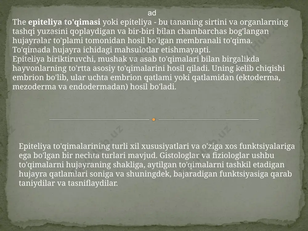 yralar xususan, epiteliya to'qimalarining hujayralari, ularning bazal va apikal sirtlari o'rtasida membrana bilan bog'langan organoidlar va oqsillarning polarizatsiyalangan tarqalishini ta'minlaydi. epiteliya hujayralarida joylashgan boshqa tuzilmalar mos keladigan to'qimalarning aniq aniq funktsiyalariga moslashishga javob beradi. ba'zida epiteliya hujayralarida siliya deb ataladigan hujayra membranasining kengaytmalari mavjud. cilia, mavjud bo'lganda, faqat hujayraning apikal yuzasida joylashgan bo'lib, suyuqlik va tutilgan zarralarning harakatini osonlashtiradi. epiteliya hujayralari quyidagicha tasniflanadi: silindrsimon silindrsimon yoki ustunli hujayralar kengligidan balandroq bo'lgan hujayralar bilan ajralib turadi, ular kengligidan to'rt baravar ko'p bo'lishi mumkin. ularning siliyer proektsiyalari (siliya) va yadrolari oval shaklga ega. kuboidal nomidan ko'rinib turibdiki, bu kataklar kesma shaklida kub shaklida bo'ladi. ular katta, markaziy va sferik yadroga ega. himoya bu tananing barcha sirtlarini qoplash uchun javobgar bo'lgan to'qima. bu uning ostidagi to'qimalar uchun o'ziga xos himoya qalqoni sifatida ishlaydi, ya'ni mexanik shikastlanishdan himoya qiladi, mikroorganizmlarning kirib kelishining oldini oladi va bug'lanish orqali suvsizlanishni oldini oladi. absorbsiya tananing ba'zi yuzalarida …