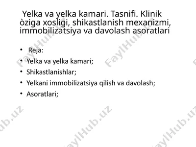 yelka va yelka kamari — PPTX