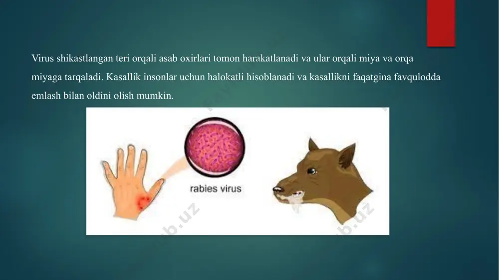 qutirish kasalligiga diagnoz qo’yish - Page 3
