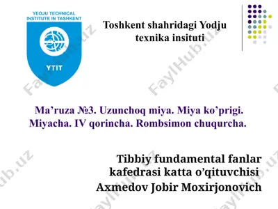 uzunchoq miyaning tuzilishi — PPTX