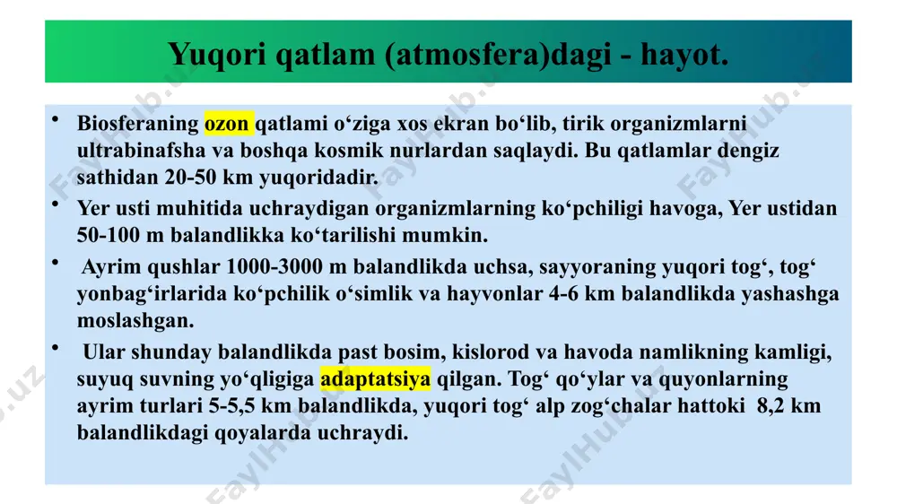 alishi. . . . . . . . . . e’tiboringiz uchun rahmat. image1.png image2.png image3.png /docprops/thumbnail.jpeg