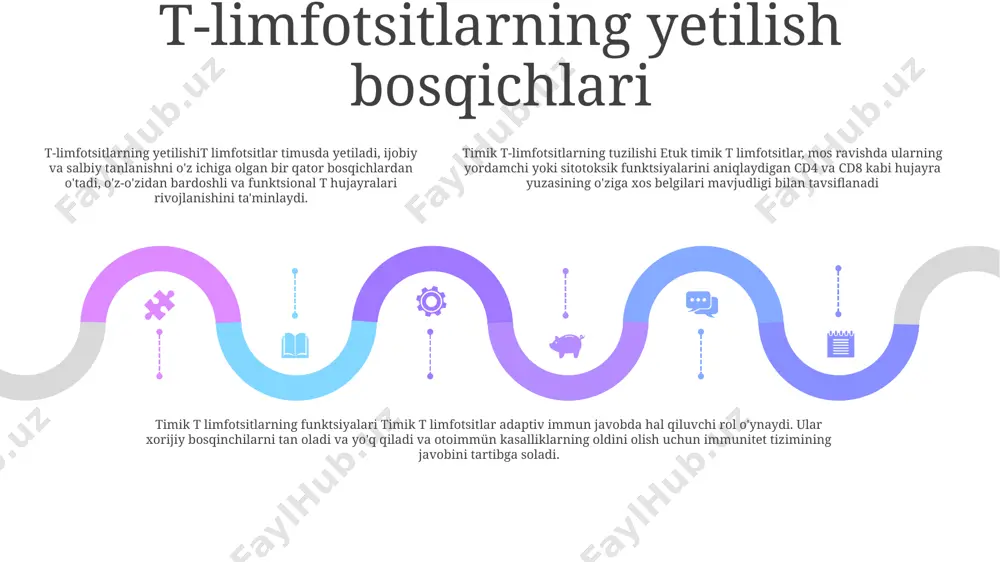 timusdagi t limfotsitlar tuzilishi - Page 4