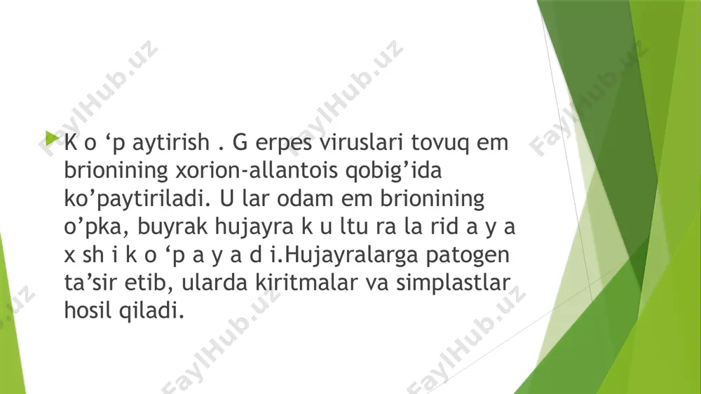 parenteral yo’l bilan yuborish)foydalanish yaxshi natija beradi. gerpes yuzda bo’lsa, zaviraks malhamiyoki xlorgeksidin suriladi. gerpes keratitining retsedivini davolash va oldini olish uchun konyunktivaga interferonogen (megasin) yuboriladi.k o ‘z , teri va ayollar jin siy a ’z o larid ag i g erp eslarn i k e re tsid , trifterm etild ezo k siu rid in , alp izo rin lar bilan davolanadi. g erpes ensefalitlarida «vidarabin~ (adenokaiabinozid) qo iianiiadi. atsiklover gerpes virusiga ta’sir qilish xususiyatiga ega bo’lib, faqat virus dnk sining replikatsiyasini to’xtatadi.g erpes qaytalanishining oldini olish uchun virusning i va ii serotiplarini formalinda o’ldirib tayyorlangan vaksina bilan 5 -6 marta emlanadi. image1.jpeg image2.jpeg /docprops/thumbnail.jpeg