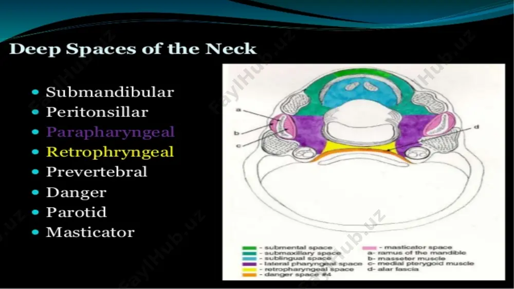retropharyngeal abscess - Page 2