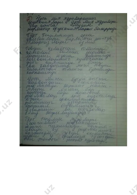 xususiy tasmasa - Page 2