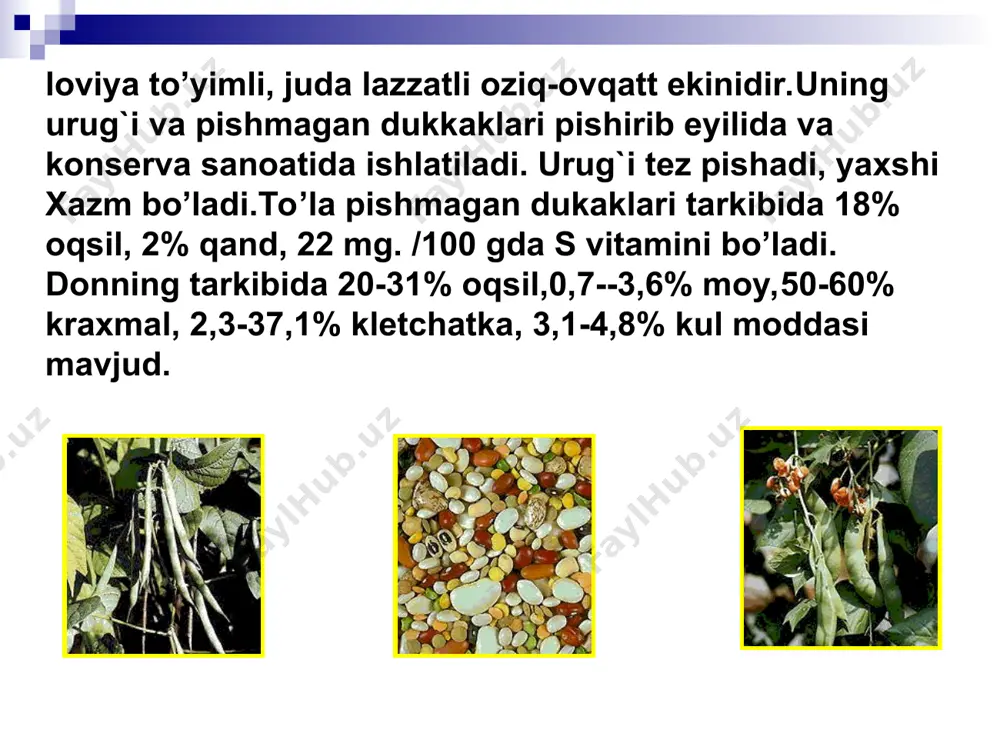 dukkaklilar - Page 2