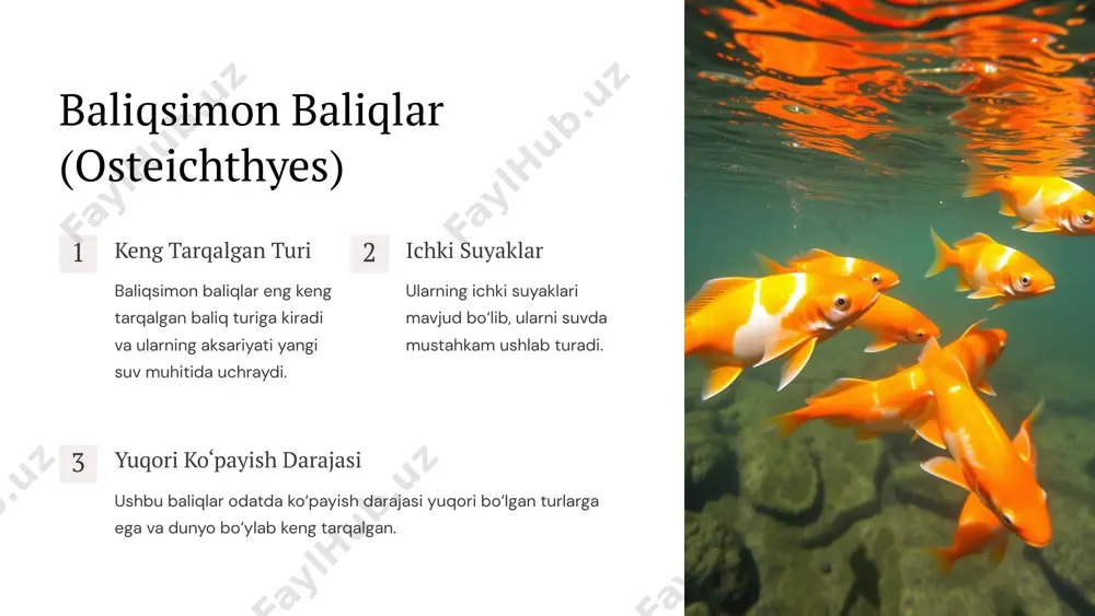 zoogeografiya: baliqlarning geografik tarqalishi - Page 5