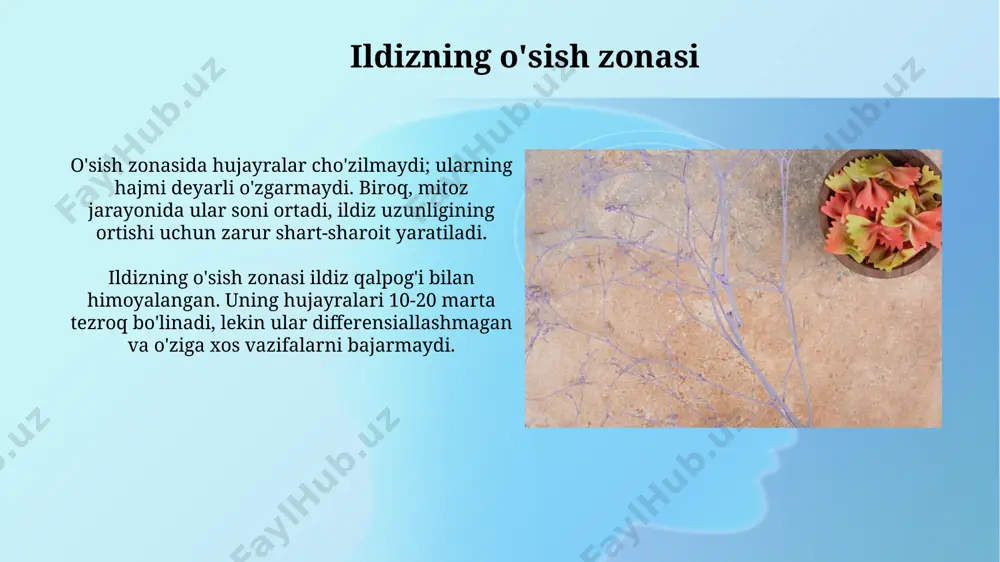 ildizlar - Page 4