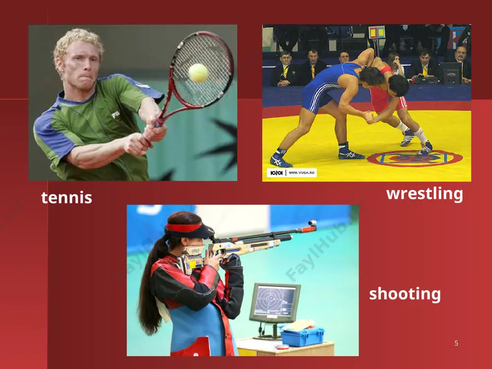 popular activities in your country - Page 5