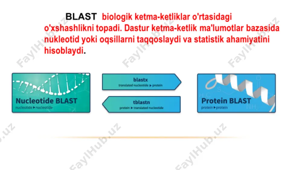 eukariot organizmlar gen strukturalarini bashorat qilish - Page 4