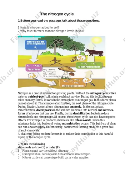 the nitrogen cycle — PDF