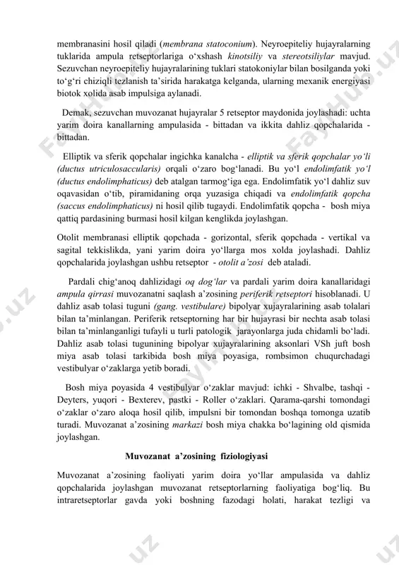 tashkil topgan. sezuvchan hujayralar o‘z asoslari bilan dahlizchig‘anoq asab tolalari bilan bog‘langan bo‘lsa, ularning uzun tuklari bir-biriga chirmashib, to‘r hosil qiladi. shu to‘rning orasida ko‘p miqdorda turlicha shaklga ega karbonat kalsiyning mikroskopik kristallchalari – statokoniylar joylashgan. sezuvchan hujayralarning tuklari va statokoniylar jelesimon modda yordamida birikib, statokoniy (otolit) membranasini hosil qiladi (membrana statoconium). neyroepiteliy hujayralarning tuklarida ampula retseptorlariga o‘xshash kinotsiliy va stereotsiliylar mavjud. sezuvchan neyroepiteliy hujayralarining tuklari statokoniylar bilan bosilganda yoki to‘g‘ri chiziqli tezlanish ta’sirida harakatga kelganda, ularning mexanik energiyasi biotok xolida asab impulsiga aylanadi. demak, sezuvchan muvozanat hujayralar 5 retseptor maydonida joylashadi: uchta yarim doira kanallarning ampulasida - bittadan va ikkita dahliz qopchalarida - bittadan. elliptik va sferik qopchalar ingichka kanalcha - elliptik va sferik qopchalar yo‘li (ductus utriculosaccularis) orqali o‘zaro bog‘lanadi. bu yo‘l endolimfatik yo‘l (ductus endolimphaticus) deb atalgan tarmog‘iga ega. endolimfatik yo‘l dahliz suv oqavasidan o‘tib, piramidaning orqa yuzasiga chiqadi va endolimfatik qopcha (saccus endolimphaticus) ni hosil qilib …