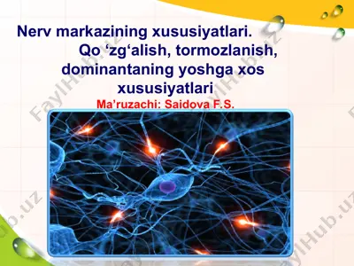 nerv markazining xususiyatlari — PPT