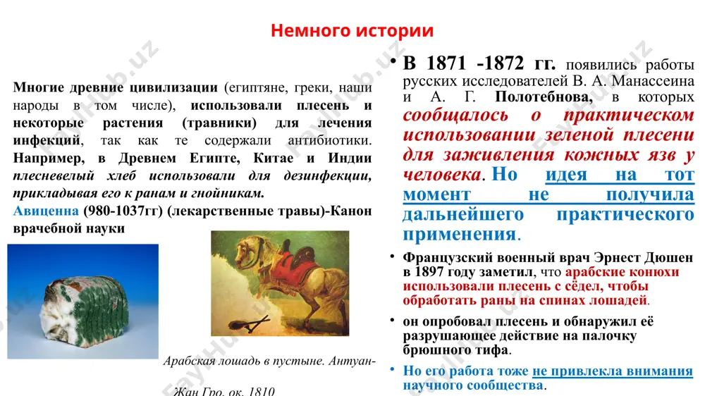 сь в начале 20 века с пауля эрлиха, когда он начал дискутировать о «волшебной пуле», которая избирательно могла определять и уничтожать микроорганизмы без вреда для тела человека. в 1913 году американские учёные карл альсберг и отис фишер блек получили из penicillium puberulum токсичную субстанцию, обладающую противомикробными свойствами (через 23 года, в 1936 году, когда установили её химическую структуру, выяснилось, что это была пеницилловая кислота) в 1928 году александр флеминг (британский бактериолог) рядовой эксперимент по выращиванию колоний стафилококков обнаружил, что некоторые из них заражены обыкновенной плесенью penicillium вокруг каждой колонии плесени была область, в которой бактерии отсутствовали, т.е. не росли. сделал вывод, что плесень вырабатывает вещество, убивающее бактерии, которое он назвал «пенициллин». это и был первый современный антибиотик !!! 13 сентября 1929 года доложил на заседании медицинского исследовательского клуба при лондонском университете. немного истории только в 1938 году двум учёным из оксфордского университета, говарду флори и эрнесту чейни удалось выделить пенициллин …