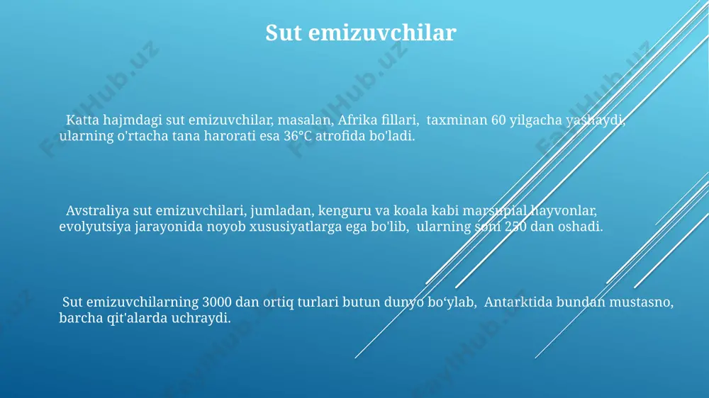 zlarda boshlangan boʻlib, ilk xordalilar sodda, baliqsimon mavjudotlar edi. vertebratlarning suvdagi hayotdan quruqlikka chiqishi, taxminan 375 million yil oldin, devoniy davrida, amfibiyalar bilan boshlangan va evropa va shimoliy amerikada keng tarqalgan. dinozavrlarning yoʻq boʻlib ketishi (taxminan 66 million yil muqaddam) sut emizuvchilarning tez evolyutsiyasi va dunyo boʻylab tarqalishiga olib keldi, bu esa xordalilarning hayotdagi muhim oʻzgarishlaridan biri boʻldi. bo'g'imlilar ba'zi bog'imlilar turlari, masalan, styela clava, shimoliy amerika va yevropa qirg'oqlarida keng tarqalgan bo'lib, ularning o'lchamlari 10 sm gacha yetishi mumkin. bog'imlilar, asosan, 3 ta asosiy guruhga bo'linadi: ascidia, salp va appendicularia, ularning har biri o'ziga xos xususiyatlarga ega. bog'imlilarning 500 dan ortiq turi mavjud bo'lib, ularning aksariyati dengizlarda, xususan, tropik mintaqalardagi marjon riflari yaqinida yashaydi. xordalilarning ahamiyati xordalilarning 50 000 dan ortiq turi mavjud boʻlib, ular yer sharining barcha burchaklarida, shu jumladan, oʻzbekistonning amudaryo havzasida ham uchraydi va ekologik muvozanatni saqlashda muhim rol oʻynaydi. xordalilar, baliqlar, amfibiyalar, sudralib yuruvchilar, qushlar …