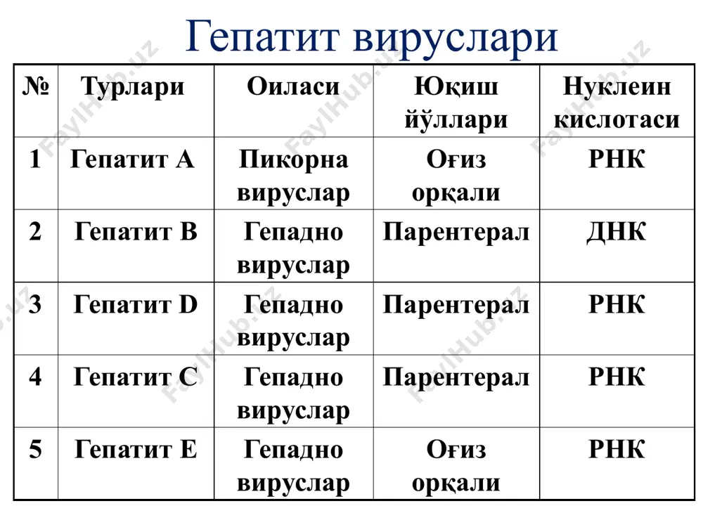 shaklga o'tmaydi kasallik yashirin ko'rinishda ham kechishi mumkin diagnostikasi qon zardobi va plazmasi, najas mikroskopiya - elektron mikroskopiya serologik usul – ifa, ria pzr jigar fermentlari va bilirubin fraktsiyalari immuniteti inson umrining oxirigacha etadigan turg'un immunitet hosil bo'ladi davolash va profilaktikasi odam normal immunoglobulini o'ldirilgan vaktsina (2 marotaba) laboratoriya tashxisi tekshirish materiallari – bemor najasi, qon zardobi, qon plazmasi mikroskopik metod - elektron mikroskopiya serologik metod – ifa, ixla qon zardobida igm, igg pzr jigar fermentlari va bilirubin gepatit v virusi har yili er yuzida 50 mln yangi bemorlar jsst ning ma'lumotlariga ko'ra 1 mlrd odam gepatit v virusini tashuvchisi hisoblanadi 1947 yilda f. mak-kallum gepatit v virusini «zardob virus» deb atadi 1961-1964 yil blumberg «avstralik» antigen (hbsag) 1970 yilda deyn gepatit v virusining antigenlarini o'rgandi morfologiyasi oilasi – gepadnoviruslar hepadnaviridae virus sferik shaklda 42 – 45 nm 2 ipli dnk tutadi, dnk ipida nuqsonli bo'lagi mavjud bo'lib, unda dnk-polimeraza …