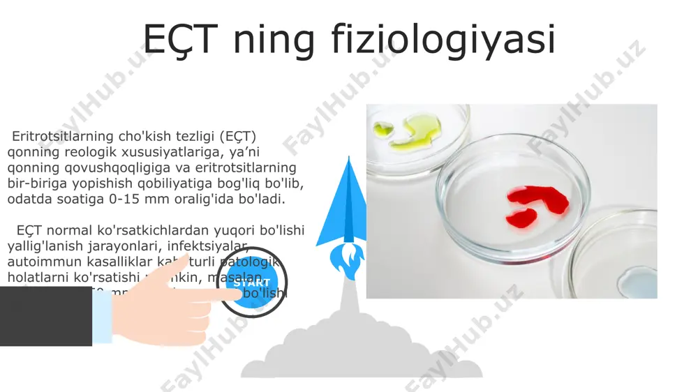 erkin gemoglobin miqdorining 1 g/dl dan oshishi, sariqlikning paydo bo'lishi va siydikning qorong'i rangga kirishi bilan namoyon bo'lishi mumkin. eçt va infeksiyonlar virusli infektsiyalarda eçtning o'rtacha ko'tarilishi kuzatiladi, ammo bu ko'tarilish bakterial infektsiyalarnikiga qaraganda ancha past bo'ladi, odatda 20-30 mm/soat oralig'ida. surunkali yallig'lanishli kasalliklarda, masalan revmatoid artritda, eçtning uzoq muddatli va o'rtacha darajada (masalan, 30-40 mm/soat) ko'tarilishi kuzatilishi mumkin. 06 05 04 eçt ning normal qiymatlari 01 02 homiladorlik davrida eçt ning fiziologik ko'tarilishi kuzatiladi va bu 45 mm/soatgacha yetishi mumkin, bu normal holat hisoblanadi. yosh bolalarda eçt ning normal chegaralari kattalarnikidan farq qiladi va ularning yoshi va fiziologik holatiga bog'liq ravishda o'zgarib turadi, masalan, yangi tug'ilgan chaqaloqlarda 1-5 mm/soat. gemoliza turlari gemoliza 3 ta asosiy turga bo'linadi: intravasal, ekstravasal va posttransfuzion gemoliz, har biri qizil qon tanachalari membranasining buzilishi va gemoglobinning chiqarilishi bilan tavsiflanadi. intravasal gemolizda qizil qon tanachalari qon oqimida yo'q qilinadi, bu esa plazmadagi sərbast gemoglobin darajasining …