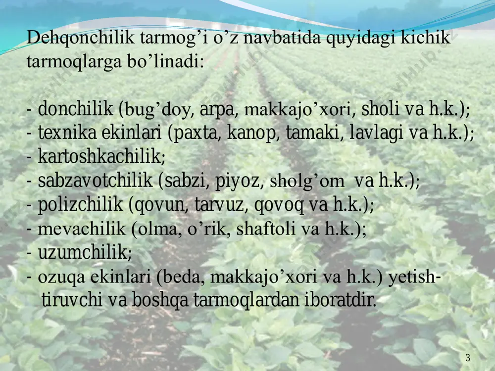 bo’lgan ichki ehtiyojni ta’minlashga taxminan 4,5 mln. tonna bug’doyni chetdan xarid qilishga majbur bo’lgan edik. hukumatimiz tomonidan don mustaqilligi davlat dasturi qabul qilindi va ekin maydonlari tarkibi takomillashtirildi. mamlakatimiz ekin maydonlari tarkibida donli ekinlarning salmog‘i ortmoqda. 1995- yilda donli ekinlarning umumiy ekin maydonidagi salmog‘i 39,8 foiz bo‘lgan bo‘lsa, 2000-yilga kelib bu ko‘rsatkich 42,7 foizni, 2008-yilda esa 43,2 foizni, 2018- yilda esa 1643,2 ming gektarni yoki 48,4 foizni tashkil etgan. 12 mamlakatimizda don ishlab chiqarish 13 2019 2020 2021 2022 don ekinlari ekilgan maydon, ming ga 1578,3 1646,2 1596, 9 1567,3 don ekinlari hosildorligi, sentner/ga 42,6 41,8 40,9 43,4 don yalpi hosili, ming tonna 7437,8 7636,0 7634, 6 7990,5 shu jumladan: surxondaryo viloyatida don ekinlari ekilgan maydon, ming ga 113,2 118,8 113,6 109,7 don ekinlari hosildorligi, sentner/ga 50,0 51,6 49,9 53,1 don yalpi hosili, ming tonna 615,7 678,5 718,6 723,0 mamlakatimizda bug’doy ishlab chiqarish 14 2019 2020 2021 2022 bug‘doy ekilgan …