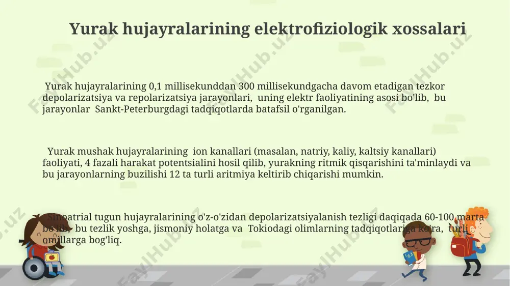 rd hujayralarining 4-fazali depolarizatsiyasi (avtomatikligi), uning o'ziga xos ion kanallari faoliyatiga bog'liq bo'lib, yurak ritmining avtomatikligiga ta'sir qiluvchi dorilarning samaradorligi 3-4 marta farq qilishi mumkin. parasempatik nerv sistemasining vagus nervi orqali ta'siri yurak ritmini sekinlashtiradi, daqiqada 70 urishdan 50 urishgacha kamaytirishi mumkin, bu esa qon bosimining pasayishiga olib kelishi mumkin (masalan, meditasiya holatida). kaliy kanallari калий каналларининг блокланиши, мисол учун, баъзи дори воситаларининг таъсири остида, қалб ритмининг бузилишига, масалан, брадикардияга (минутига 60 дан кам зарба) олиб келиши мумкин. калий каналларининг турли хиллари (ir, ikr, iks) юракнинг электр фаолиятида муҳим роль ўйнаб, активлик потенциалининг реполяризациясига ҳисса қўшади ва 2-4 мс давомийликдаги тезкор реполяризацияни таъминлайди. юракдаги калий каналларининг аномалиялари, масалан, kcnq1 генининг мутацияси лондон ва бошқа шаҳарлардаги кардиомиопатия касалликлари билан боғлиқ. membrana potentsiali membrana potentsialining o'zgarishi, masalan, 0 mv ga yaqinlashib, yurakning depolyarizatsiyasi va keyinchalik repolyarizatsiyasi jarayonlarini boshlaydi, bu esa yurakning turli hududlarida turlicha sodir bo'ladi. yurak hujayralarining membran potentsiali taxminan -90 …