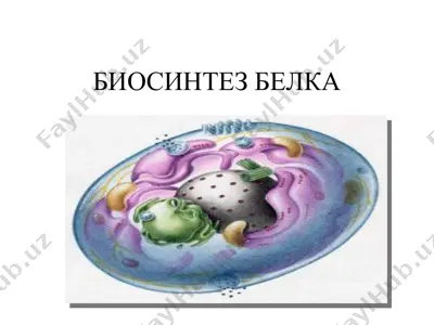 биосинтез белка — PPT