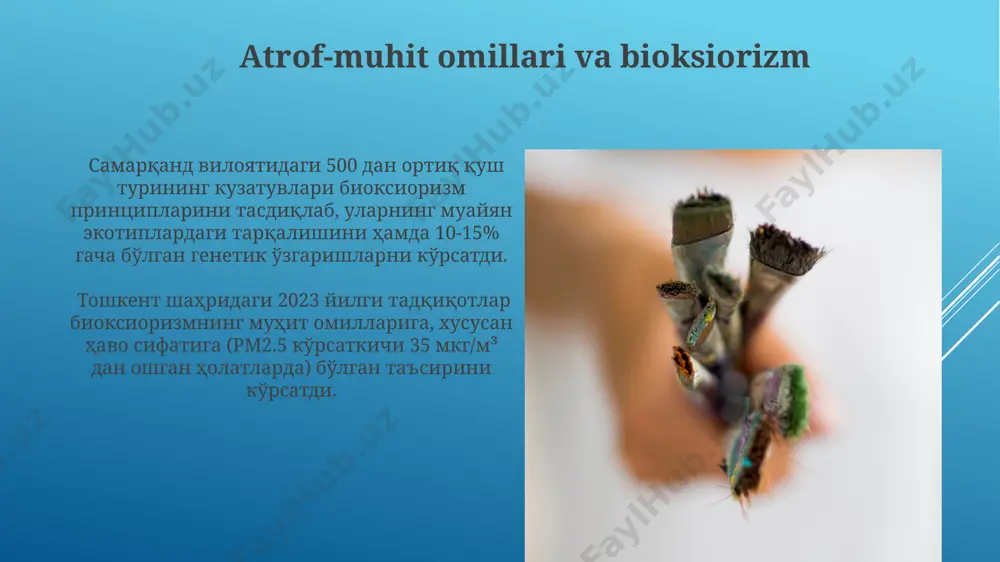 bioxiorizm etologiya - Page 4