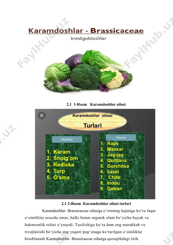 hiq urug‘li o‘simliklarning yog‘ochligi ekanligini ajratish amri mahol bo‘lganligi sabzbli, aniq bir xulosaga kelish qiyin. karamdoshlar- brassicaceae oilasiga barg qoldiqlarini quyi bo‘r davridagi qazilma qatlamlarda topilganligi va bu ularga taalluqli ekanligi hakida aniq ma’lumotlar bor. bu organ quyi bo‘r davrida qazilma qatlamlarda shimoliy yarim sharlarning har xil nuqtalarida (qozog‘iston, uzoq sharq, portugaliya va shimoliy amerika) topilganligi fikrimizni tasdiqlaydigan omillardan hisoblanadi. bo‘r davri qatlamlaridan boshlab har xil qazilma qatlamlarda gulli o‘eimliklarning changi ham ko‘plab uchraydi. mazkur palebotanik ma’lumotlarga tayangan holda karamdoshlar- brassicaceae oilasiga ilk ajdodlari yura va quyi bo‘r davrida tog‘li o‘lkalarda paydo bo‘lganligi haqida fikr yuritish mumkinumuman olganda o‘simliklar olamining eng sodda vakillari keng tarqalgan tropik mintaqaga alohida e’tibor berilgan edi. hozirgi vaqtda ko‘pchilik botanika ilmining namoyandalari bir qadar boshqa fikrdalar. ular karamdoshlar- brassicaceae oilasiga sodda vakillari tropik mintaqada emas, balki o‘rta iqlimli mintaqada keng tarqalgan demokdalar. karamdoshlar- brassicaceae oilasiga subtropik o‘lkalarda, shu jumladan qadimgi geologik davr qoldiqlarida ko‘p uchraydigan …