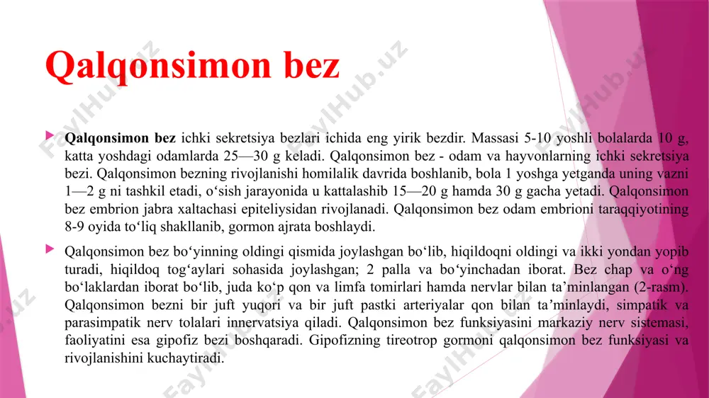 har bir bez tashqi po‘stloq va ichki mag'iz qismlardan iborat. bezlarning po‘stloq qismi suv, tuz, oqsil va uglevodlar almashinuviga ta’sir ko‘rsatadigan gormonlar ishlab chiqaradi. androgen va estrogen gormonlari jinsiy bezlar faoliyatini kuchaytiradi. buyrakusti bezi shish kasalligida jinsiy gormonlar ishlab chiqarilishi kuchayib, yosh bolalarda erta balog'atga yetish belgilarini paydo qiladi. buyrakusti bezlari buyrakusti bezlari e’tiboringiz uchun rahmat! image1.jpeg image2.jpeg image3.jpeg image4.jpeg image5.jpeg image6.jpeg image14.png image15.png image16.png audio1.wav image7.png image8.png image9.png image10.png image11.png image12.png image13.png image17.png image18.png image19.png image20.png image21.png image22.png image23.jpeg image24.png image25.png image28.png image26.png image27.png image29.png image30.png image31.png image32.png image33.png image39.png image40.png image34.png image35.png image36.png image37.png image38.png image47.png image48.png image49.png image50.png image51.png image41.png image42.png image43.png image44.png image45.png image46.png image58.png image52.png image53.png image54.png image55.png image56.png image57.png image59.png image60.png image61.png image62.png