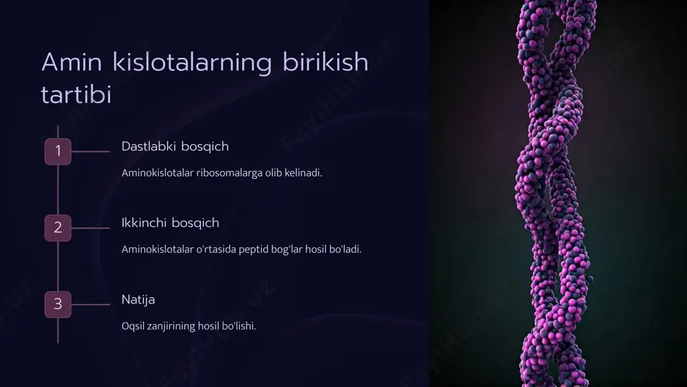 oqsil biosintezi jarayoni - Page 4