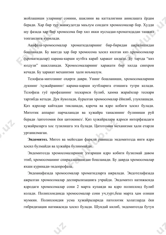 ро уртасида тусикча /“ядро пластинкаси”/ ҳосил булиб, ядро иккига булиниши мумкин. ядро булиниши жараёни цитоплазма булинишисиз кечса икки ядроли ҳужайра ҳосил булади. амитоз булинишда ядро интерфаза ҳолатида булиб, ҳужайра уз функциясини бажараверади. амитотик булиниш купчилик органларда топилган ва бу булиниш ҳужайраларнинг яшаш муҳитига боглик булса керак. кундаланг-таргил мушак тукимасининг денервациясида, механик жароҳатлаганда ёки баъзи бир бошка таъсирларда мушак тукимасида амитотик булинишни кузатиш мумкин. амитотик булиниш кундаланг-таргил мушакнинг тараккиёти даврида ёки жигар ҳужайраларида ҳам кузатилади. баъзи ҳолларда митотик булиниш амитотик булиниш билан алмашиниши мумкин. митотик булинишдан фаркли равишда днк нинг янги ҳосил булган ядроларда тенг таксимланиши амитоз булинишда баъзи ҳолатларда булади холос. амитоз булиниш натижасида ҳосил буладиган 2 ядроли ҳужайралар нормал диплоид ядроли ҳужайраларга нисбатан купрок днк саклайди. баъзи муаллифларнинг фикрича амитоз булиниш полиплоид ҳужайралар ҳосил булишининг бир усулидир. амитоз булиниш юкори ихтисослашган митотик булиниш ҳолатини йукотган ҳужайранинг функционал активлигини ошириш усули булса керак, чунки бу булинишда ядро сатҳи ошиши натижасида …
