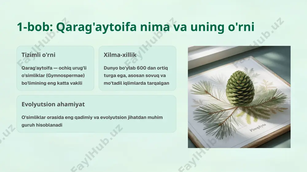 ishi urug'larning rivojlanishi va etuklik darajasiga yetishi 1-2 yil davom etadi 4 urug'lar tarqalishi etuk urug'lar shamol yordamida tarqalib, yangi joylarni egallaydi qarag'aytoifa o'simliklarining ekologik muammolari o'rmonlar kesilishi o'rmonlarning kasbiy kesilishi va tabiiy muhitning buzilishi asosiy tahdid hisoblanadi iqlim o'zgarishi global isish natijasida yashash hududlarining shimolga siljishi va qisqarishi kuzatilmoqda kasallik va zararkunandalar turli kasalliklar, qurt va hasharotlar o'rmonlarga jiddiy zarar yetkazmoqda o'rmon resurslarining yo'q qilinishi qarag'ay o'rmonlarining keraksiz kesilishi ekologik muvozanatni buzadi va biologik xilma-xillikni kamaytiradi. bu jarayon qaytarib bo'lmaydigan oqibatlarga olib kelishi mumkin. qarag'aytoifa o'simliklarini muhofaza qilish va tiklash choralari o'rmon tiklash o'rmonlarni himoya qilish va qayta ko'chat ekish dasturlari jadal sur'atlar bilan amalga oshirilmoqda genetik saqlash genetik resurslarni saqlash va seleksiya bo'yicha ilmiy tadqiqotlar olib borilmoqda qonuniy himoya mahalliy va xalqaro darajada ekologik qonunchilik va himoya choralari kuchaytirilmoqda qarag'aytoifa o'simliklarining ilmiy tadqiqotlari va kashfiyotlar genetik tadqiqotlar o'simliklarning genetik xilma-xilligi va evolyutsiyasi bo'yicha yangi ma'lumotlar olinmoqda bioaktiv moddalar …