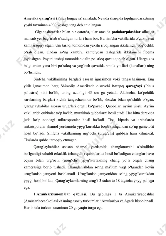 an. gigant daraxtlar bilan bir qatorda, ular orasida podakarpdoshlar oilasiga mansub yer bag‘irlab o‘sadigan turlari ham bor. bu sinfcha vakillarida o‘zak qavat kam taraqqiy etgan. uni tashqi tomonidan yaxshi rivojlangan ikkilamchi yog‘ochlik o‘rab olgan. undan so‘ng kambiy, kambiydan tashqarida ikkilamchi floema joylashgan. poyani tashqi tomonidan qalin po‘stloq qavat qoplab olgan. ularga xos belgilardan yana biri po‘stloq va yog‘och qavatida smola yo‘llari (kanallari) ning bo‘lishidir. sinfcha vakillarining barglari asosan ignasimon yoki tangachasimon. eng yirik ignasimon barg shimoliy amerikada o‘suvchi botqoq qarag‘ayi (pinus palustris) niki bo‘lib, uning uzunligi 45 sm ga yetadi. aksincha, ko‘pchilik sarvlarning barglari kichik tangachasimon bo‘lib, shoxlar bilan qo‘shilib o‘sgan. qarag‘aykabilar asosan urug‘lari orqali ko‘payadi. qubbalari ayrim jinsli. ayrim vakillarida qubbalar to‘p bo‘lib, murakkab qubbalarni hosil etadi. har bitta daraxtda juda ko‘p sondagi mikrosporalar hosil bo‘ladi. tiss, kiparis va archalarda mikrosporalar shamol yordamida ypyg‘kurtakka borib tushgandan so‘ng gametofit hosil bo‘ladi. sinfcha vakillarining urg‘ochi (urug‘chi) qubbasi ham xilma-xil. tisslarda qubba …