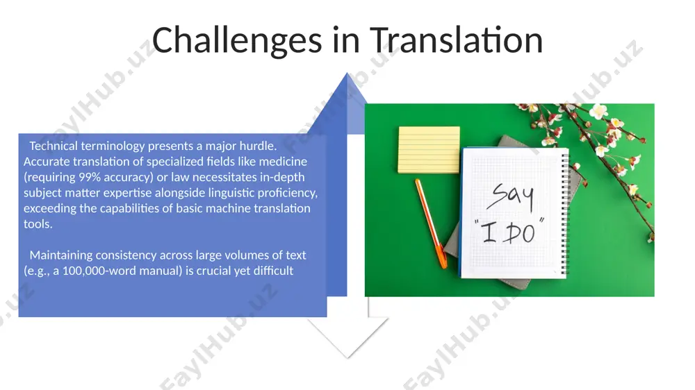 a biography: introduction to translation and accuracy - Page 4
