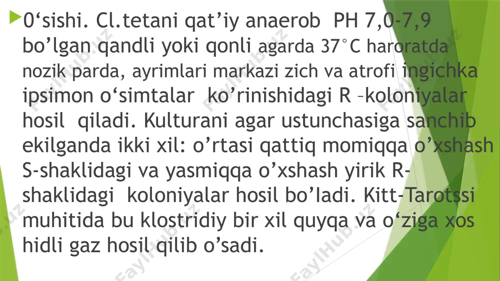 qoqsholqo’zg’atuvchisi - Page 4