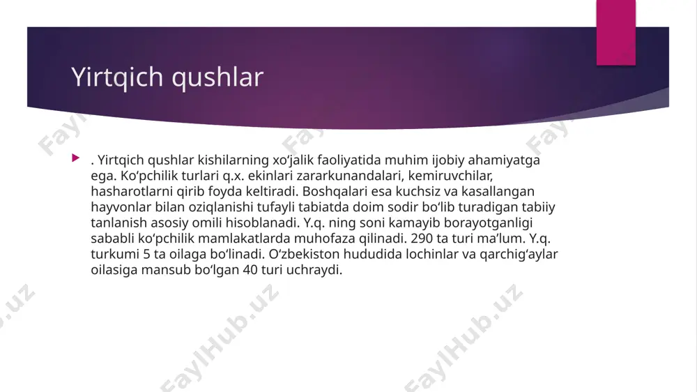 yirtqich qushlar - Page 5