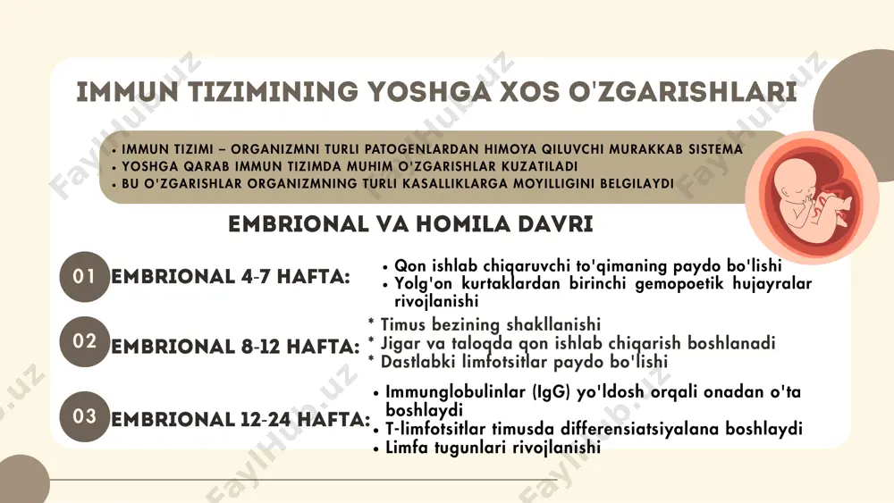 di - ige (allergik reaktsiyalarda qatnashadigan) darajasi oshishi mumkin - limfoid to'qimaning gipertrofiyasi (ayniqsa adenoidlar va bodom bezlari) - t-limfotsitlarning regulyator funktsiyalari rivojlanadi go'daklik va ilk bolalik davri (1 oy - 3 yosh) 01 023-6 yosh maktabgacha va maktab yoshi davri (3-12 yosh) 6-12 yosh - limfoid to'qima maksimal rivojlanish darajasiga yetadi - immun javob kattalarnikiga yaqinlashadi - igg, iga va igm darajalari kattalarniki bilan deyarli tenglaashadi - ko'plab infektsiyalarga qarshi immunitet shakllanadi - immun tizim nisbatan barqaror holda - limfoid to'qima massasi maksimal darajada - antitela ishlab chiqarish samaradorligi yuqori - hujayrali va gumoral immunitet to'liq rivojlangan jinsiy balog'at bilan bog'liq o'zgarishlar o'smirlik davri (12-18 yosh) - jinsiy gormonlar immun tizimga ta'sir ko'rsatadi - estrogen immun javobni kuchaytiradi, androgen pasaytiradi - timus atrofiyasi boshlanadi - immun tizim reaktivligi yuqori (autoimmun kasalliklar boshlanganda paydo bo'lishi mumkin) o'smirlarda immun xususiyatlar - limfoid to'qima massasining kamayishi boshlanadi - nk-hujayralarning faolligi oshadi - …
