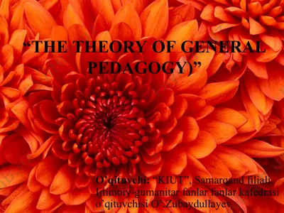 the theory of general pedagogy — PPT