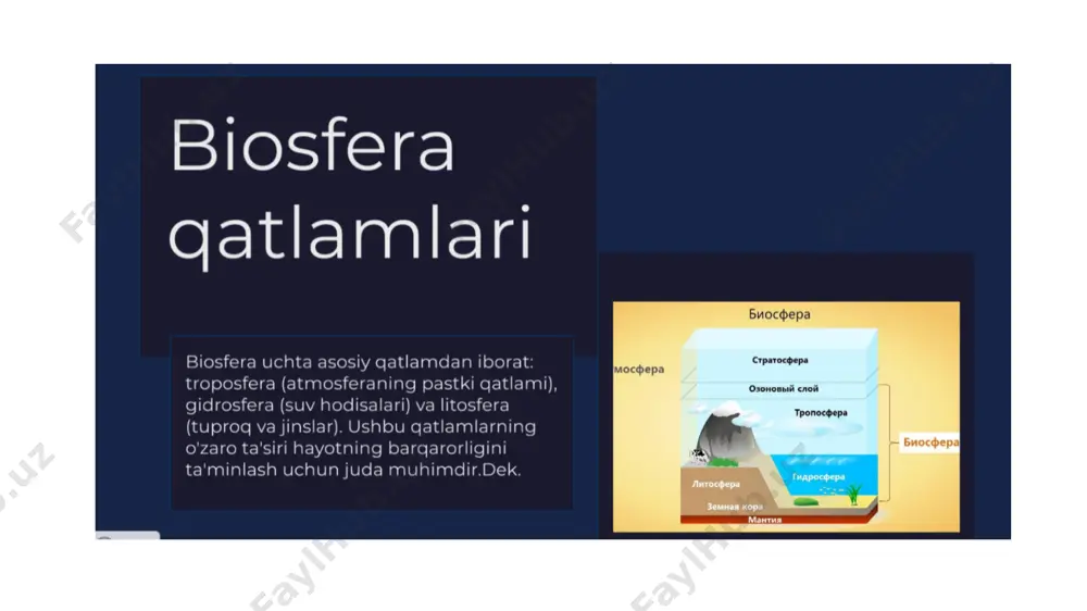 biosferada moddalar va energiyaning bioximik aylanma harakati - Page 5