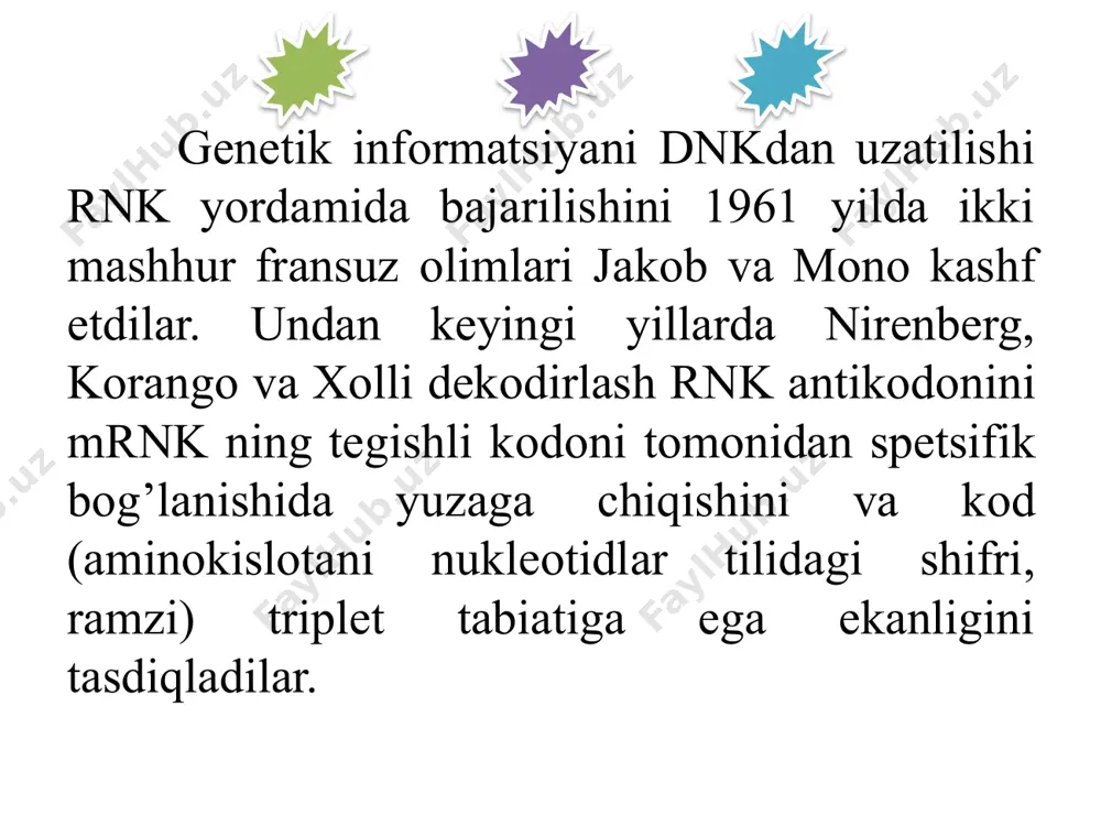 transkripsiya, translyatsiya va oqsil sintezi. - Page 4
