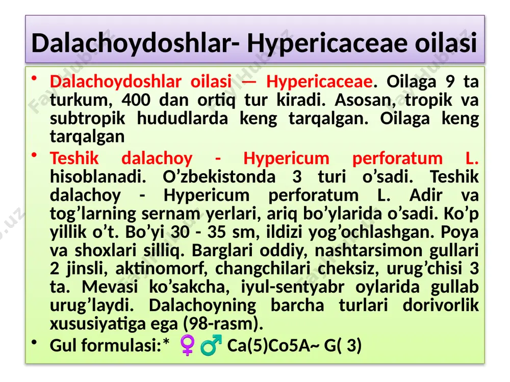 qo’ltig’idan chiqadi. gulqo’rg’oni murakkab, kosachabarglari o’zaro qo’shilgan, 5 tishchali. erkak gullarda 5 ta changchilar uch guruh bo’lib joylashgan. urg’ochi gullardagi urug’chi 3 ta mevabargchaning qo’shilib o’sishidan hosil boladi. mevasi — cho’ziq, ko’p urug’li rezavorsimon qovoq meva.