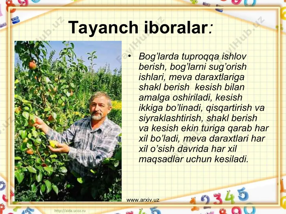 mevali daraxtlarga shakl berish - Page 4