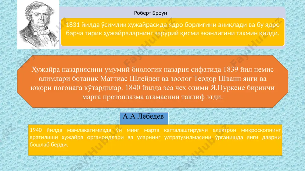болитик жараёнда, яъни айрим моддаларнииг синтез қилиниши, хужайра пўсти, вакуола ширасининг ҳосил бўлишида ва хужайра учун кераксиз (шилимшик) моддаларнинг хужайрадан чикариб ташланишида иштирок этадилар. image2.jpg image3.jpg image4.jpg image5.jpeg image7.jpeg image6.png image1.jpeg /docprops/thumbnail.jpeg