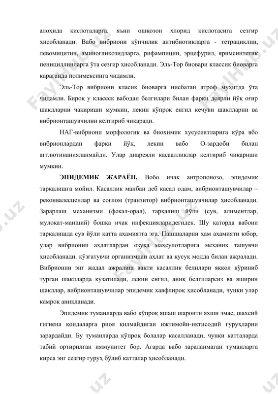 жой – ингичка ичак ҳисобланади. вабо вибрионлари эпителиоцитлари юзасида кўпаяди., эпителий хужайраси ичига кирмайди, уларда инвазивлик хусусити йўқдир. вибрионни ингичка ичакда колонизациялашиши эпителийни зарарламасдан ва яллиғланиш жараёнисиз кечади. морфологик – бу ҳамма тур энтероцитларини секретор гранулалардан мерокрин ажралиш, вибрионлар ёпишган микроворсинкаларникўчиши билан ўтади ва бу эпителий юзасини қўзғатувчи тозаланишига ёрдам беради, клиникада бу «гуруч қайнатмаси» кўринишдаги аҳлат ажралиши билан характерланади. вибрионни кўпайиши жпараёни кўп мидорда экзотоксин ажралиши билан кузатилади. экзотоксин (холергон) ингичка ичак шиллиқ қавати эпителийоцит хужайралардаги аденилатциклаза ферментига таъсир қилади. натижада циклик 3-5-аденозинмонофосфат (цамф) ва циклик 3-5-гуанозинмонофосфат синтези ошади. улар энтероцитларда простогландин типидаги гормоносимон пептидлар синтезини фаоллаштиради. булар натижасида ичак бўшлигига кўп миқдорда изотоник суқлик чиқади, у ингичка ва йўғон ичакни пстки қисмларида сурилишига улгармайди ва организмдан кўп миқдорда суюқ аҳлат ва қусуқ моддалари орқали чиқиб кетади. ажралаётган суюқлик таркибида оқсил кам, электролитлар кўп: натрий (140ммолғл), калий (13 ммолғл), гидрокарбонат (32ммолғл), хлор (92 ммол л). катталар соатига 1 литр …