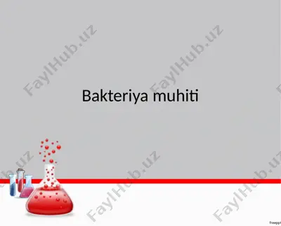 bakteriya muhiti — PPTX