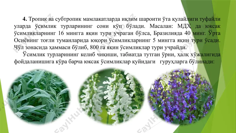 умуман ёғингарчилик кузатилмайди. гоби саҳроларида ҳаво ҳароратининг йиллик ўртача катталиги жанубда 0°с дан бир оз юқори бўлиб, қолган қисмларида ундан ҳам пастлиги кузатилади. эрон-турон флористик областнинг тупроқ шароитини таҳлилламоқчи бўлсак, аввало шуни қайд этиб ўтиш зарурки, бу областдаги тупроқ ҳосил бўлиш жараёни ўзига хосдир. 1957 й. эълон қилинган и. гансеннинг тупроқ хиллари ва улар жойлашган раёнлар харитасига биноан, ер шари совуқ ва иссиқ қисмларга бўлиниб, совуқ ярим қисмида: - унчалик совуқ бўлмаган текис пастланишларидаги галофитлар тарқалган раёнлар киради;- эрмонли чўллар ўсимликлар дунёсига, кулранг ва оқ кулранг тупроқли ярим чўллар ёки кам ўтли чўллар ўсимликлар дунёсига, қўнғир туссимон тупроқли чўллар мансубдир. қиш ойлари жуда совуқ бўлиб кучли шамол таъсири тупроқнинг қуриб қолишига олиб келади, натижада тупроқнинг шўрланиши ва қотиб гипсга (литотогия) айланиши содир бўлади. a. л. taxтaджян (1978) тomoниdan берилгaн ер шарининг флористик областлари классификациясига биноан асосан 10 тa флористик областга мансубдир. bular-eron-turon, tsirkum-boreal, sharqiy osiyo, o’rta yer dengizi floristik oblasti, …