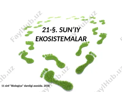 sun’iy ekosistemalar. 11 - sinf — PPTX